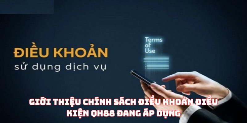 Giới thiệu chính sách điều khoản điều kiện QH88 đang áp dụng