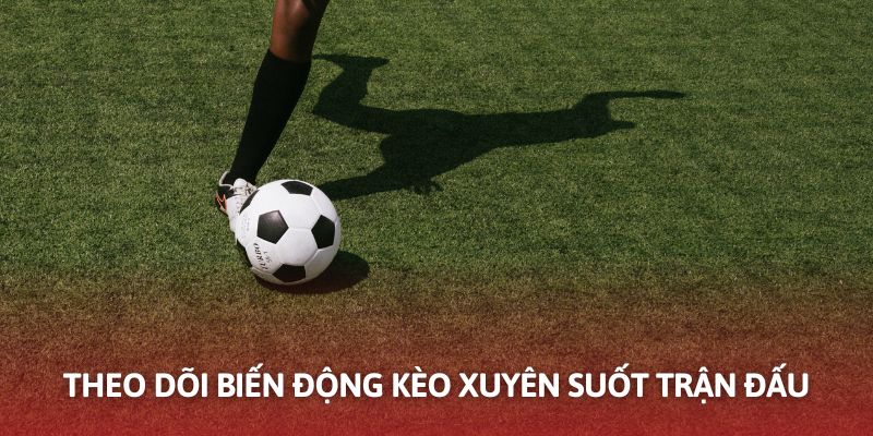 Theo dõi sát sao odd trong kèo nhà cái châu Âu nhà cái QH88